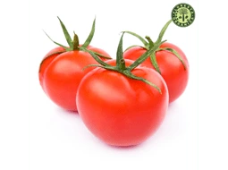 Tomate Italiano Orgnico