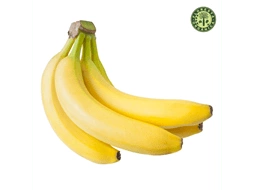 Banana Prata