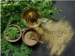 Ch de Moringa